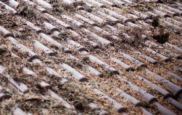 Sandilands roof cleaning companies